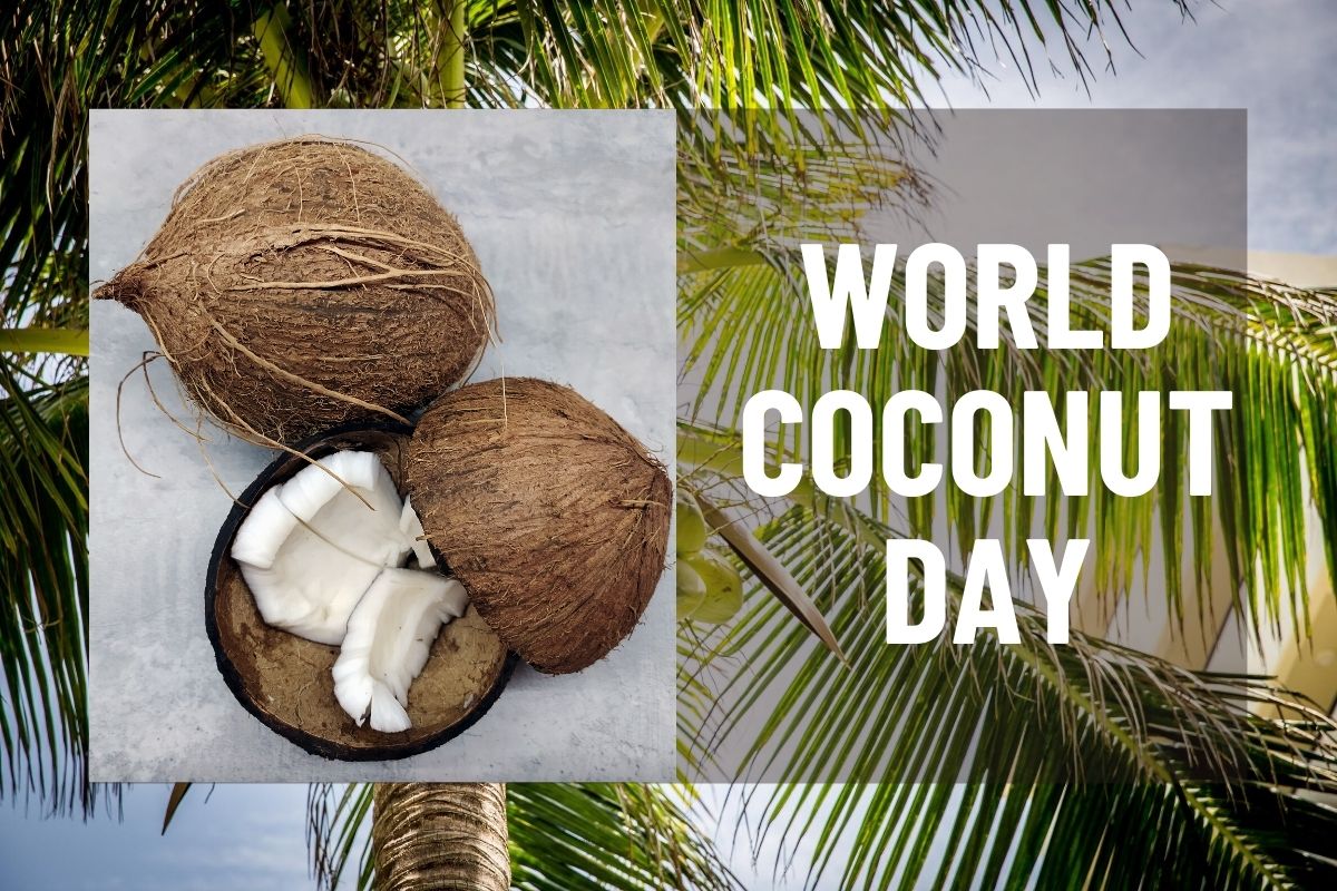 You are currently viewing World Coconut Day: Know Benefits of Coconut and its Importance in Indian Tradition
