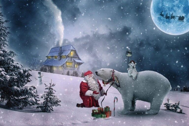 Best Christmas Gift Ideas