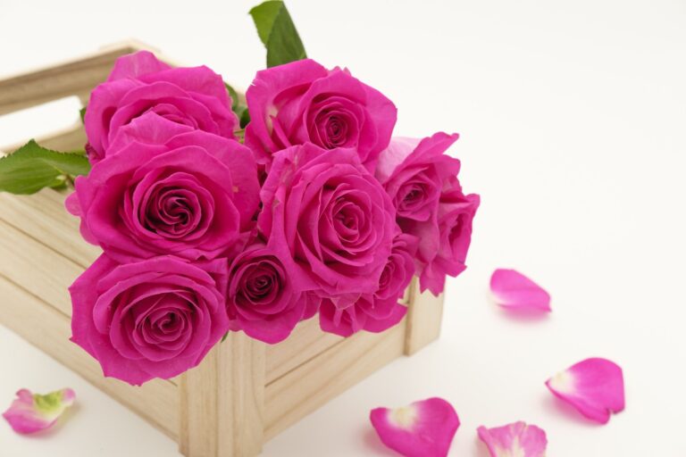 Best Gift Ideas for your Loved One on This Valentine day