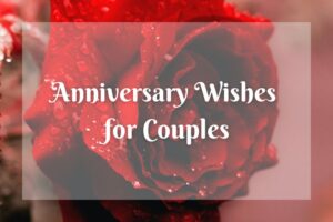 Read more about the article 20 Wedding Anniversary Wishes for Couples