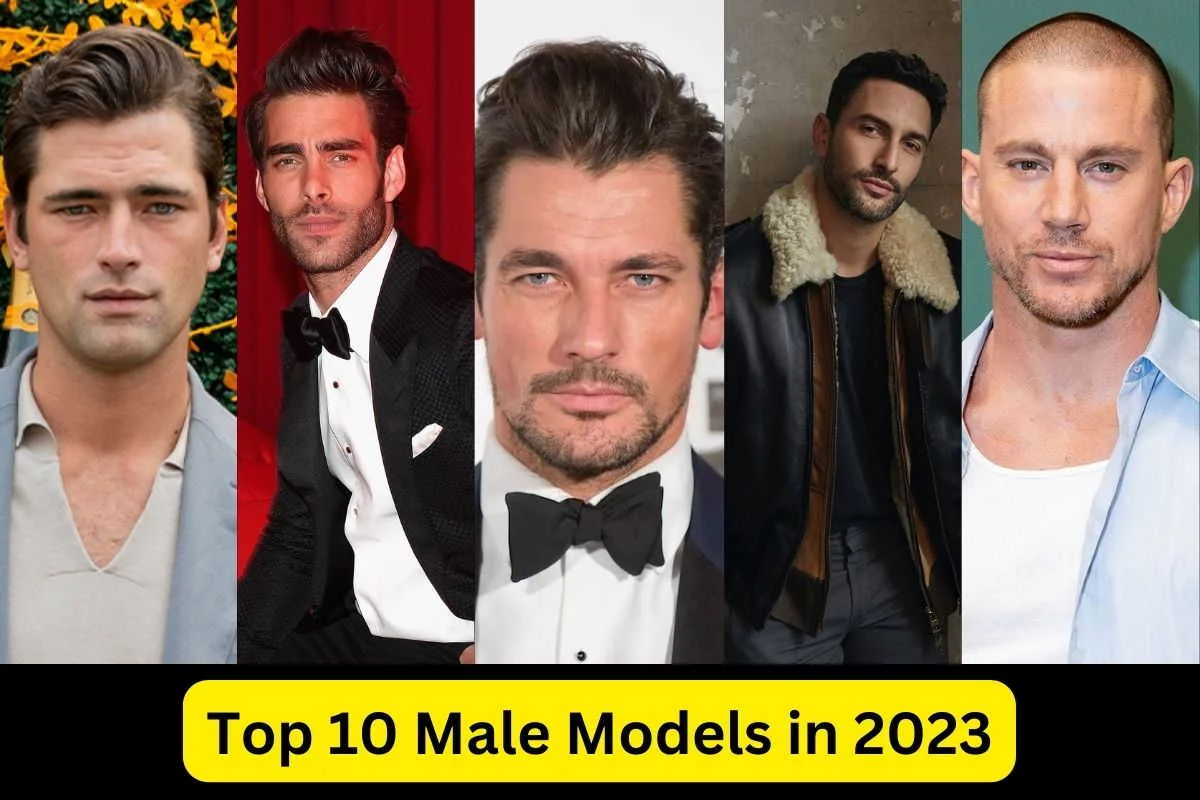 Top 10 Male Models In 2023